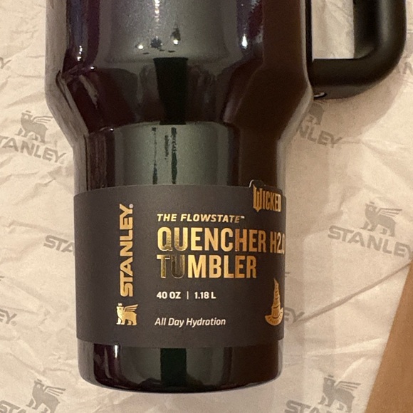 Stanley Wicked Elphaba 40oz Tumbler - Picture 3 of 11